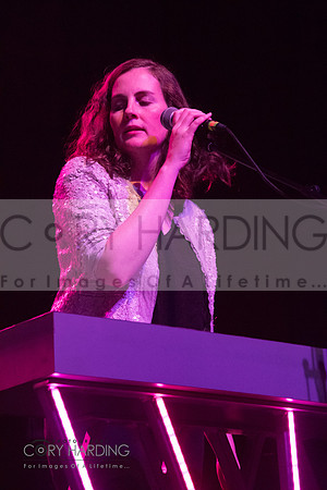 The New Pornographers