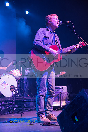 The New Pornographers
