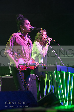 The New Pornographers