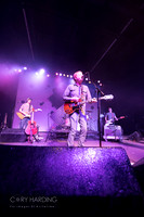 The New Pornographers